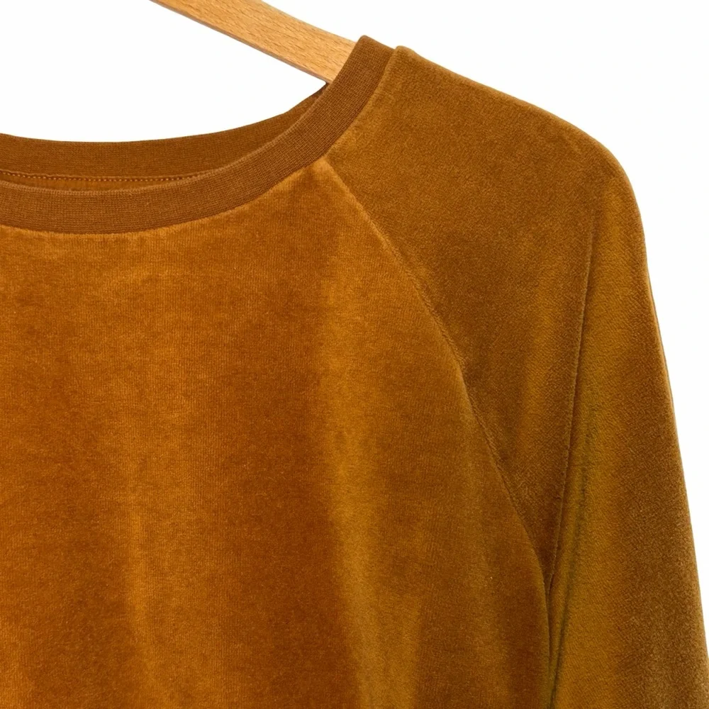 GAP Velour Crewneck Sweatshirt Velvet in Bright Brown, Size S - Picture 3 of 12